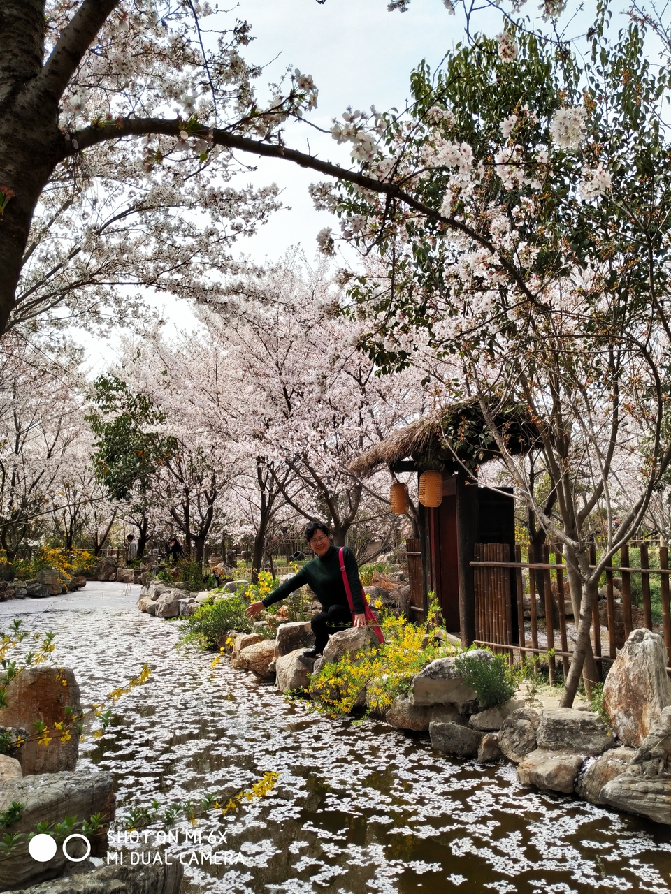 gi8h5F6mpa8Ivn7uXyGJOwEo-tkewTaD_s3X-hdG-9WwQJo5lk6V6B-UpWObMGwm