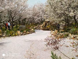 cbKk3jIYWbdxXp1OywTWta6sRlhNexFCioPvNFgXOGm92bXx0xd8S0aLzlaj6XKT