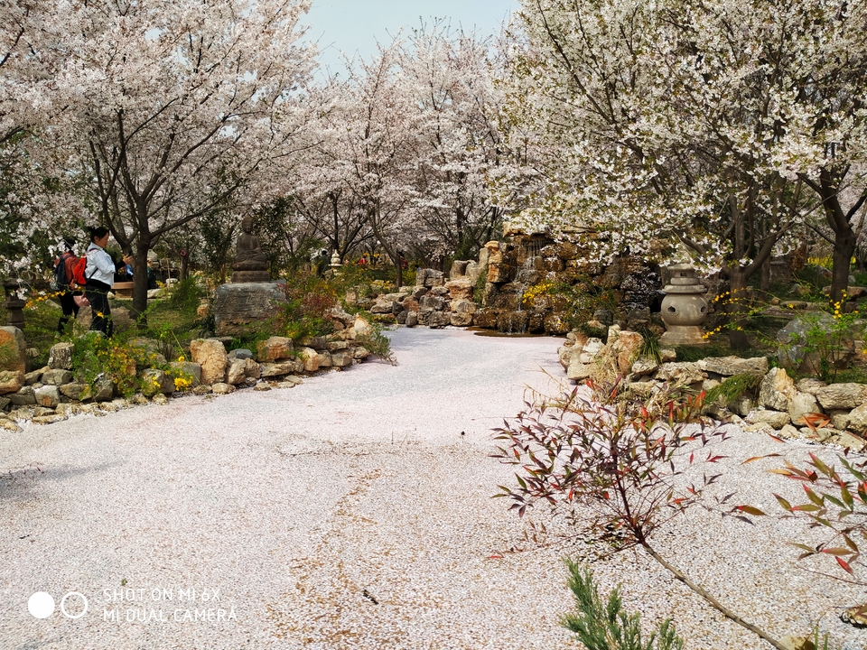 cbKk3jIYWbdxXp1OywTWta6sRlhNexFCioPvNFgXOGm92bXx0xd8S0aLzlaj6XKT