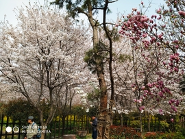 _9njSiB2frHB50mqicq0IcAIL_PcqRU43UU51leQ43xGOxtZCLnbN9ZLxTs6gL0O