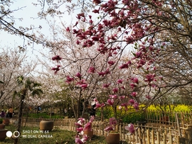 -05Pgo-AEZ_G827reG-N4fcbz95hHv48rWGaS47EH7Rbjgtb1bYorSBFvHcds035