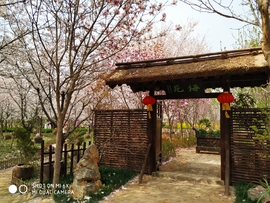 o8mheLo1wPLoXtvCYAxiuRL2C3EPmTxogIwe7S6_Av4wxJbHcZU7l46LjQpjRORb