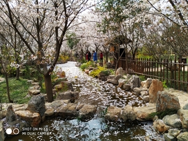 hA42kJwjVnGtOfnNSVi1rxydPyJ3OavpsxsfnDBUkIKZWIl9w74g6boRHpCtaqZ0