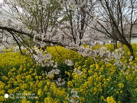 UfrNxtSEhbHO77_49xfyiyI5PSj_3iXF15SxFMWCGYHfNRH0EDrRq4su2topNyoY