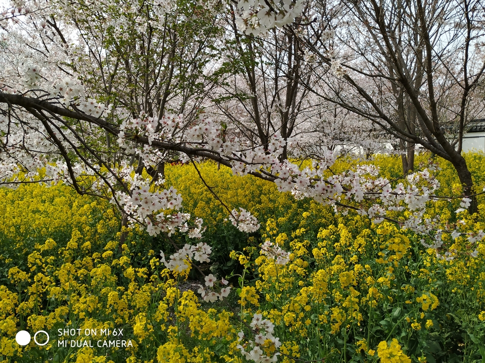 UfrNxtSEhbHO77_49xfyiyI5PSj_3iXF15SxFMWCGYHfNRH0EDrRq4su2topNyoY