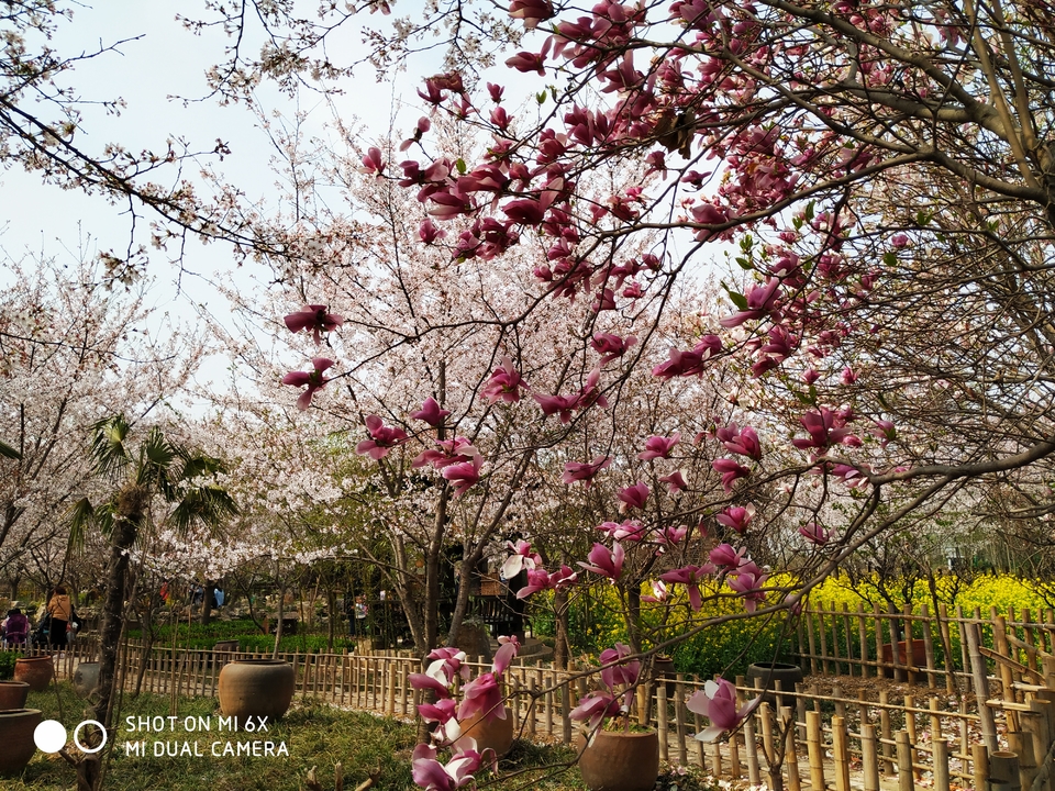 -05Pgo-AEZ_G827reG-N4fcbz95hHv48rWGaS47EH7Rbjgtb1bYorSBFvHcds035