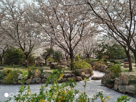 rbGsO6ivWjXh6qJd9trXftVJow8uh50ohiPmkIRb6JlI6vsUYnDJjyvzwR3f367q