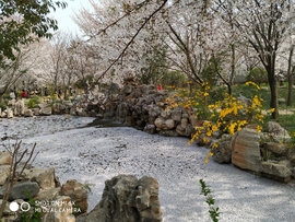 3UP0EAtjoXk-l99nb7S1HAYeVURKRc1_9nCVJ4mIGf0d8vuEtcIHz4ubV_TaIH7w