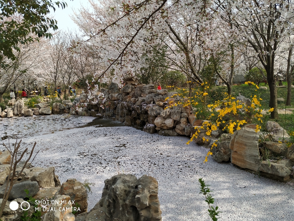 3UP0EAtjoXk-l99nb7S1HAYeVURKRc1_9nCVJ4mIGf0d8vuEtcIHz4ubV_TaIH7w