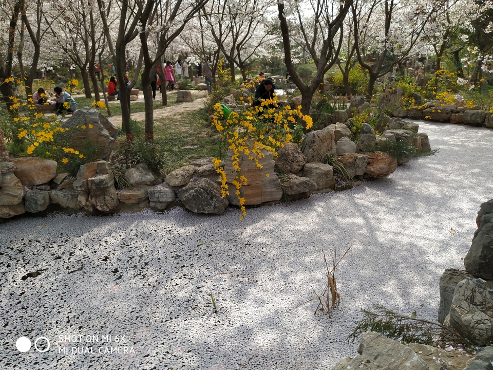 9DMLxkv3iFO_6Q3-Rk1AZE0YxBpSM03c8otBihvbnhrzDXSsHTpsuHMO7LawBS15