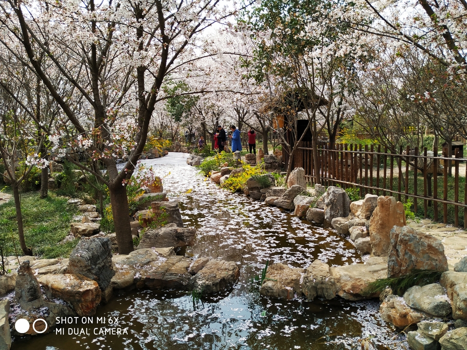 hA42kJwjVnGtOfnNSVi1rxydPyJ3OavpsxsfnDBUkIKZWIl9w74g6boRHpCtaqZ0