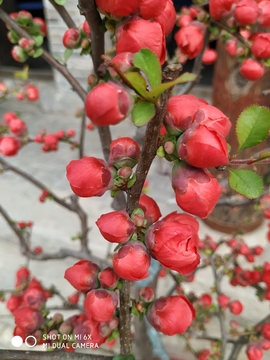 hAr3tNnCJWNHyG0chQ5D9CFk6vZ6GRA2jOTSvk_Qm9mZLm6iDHQEosbPhLponAo4