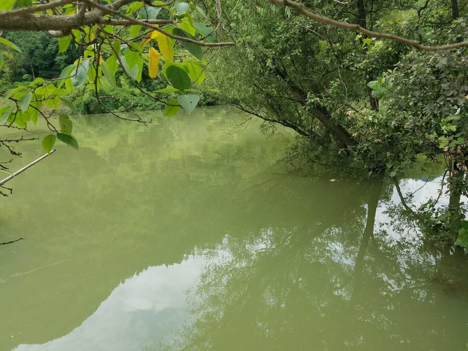 Ez9C3nayW2uLaVxsHyFFHvTECMtlK9eZAEG7Y6vJyDb-1XCaG7yujdN-2C3Ahv9B