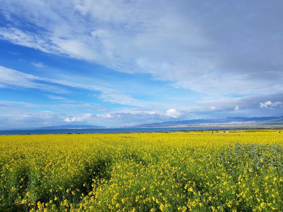 -yTvWsRjhFBiGbn8rUh8aq1nh4R9UWjIvWmhYYCC4c4D3SUB6inE_eprGJNCO6ZA