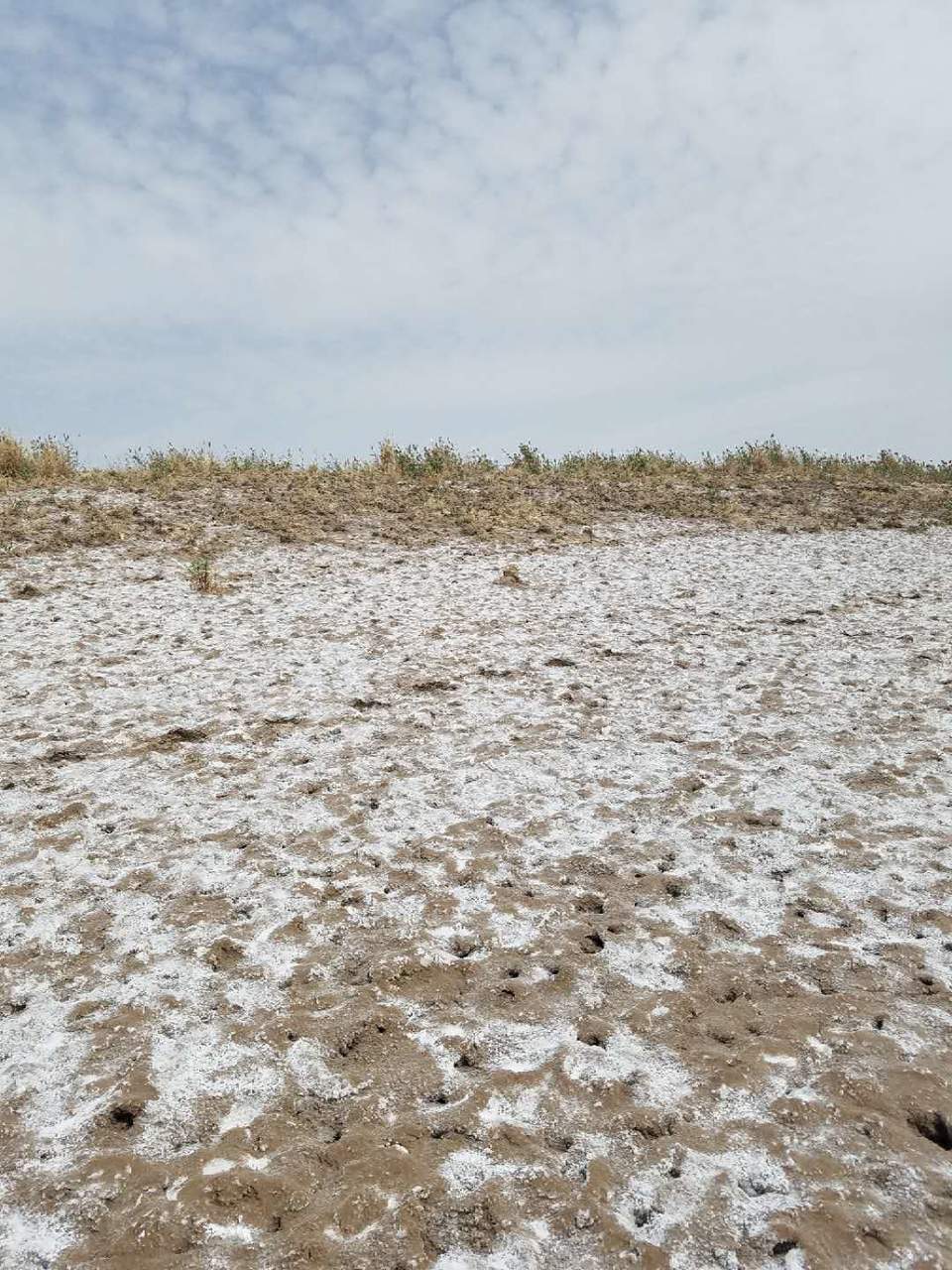 fKQYR0v0jKG5k_C4AG82OudnJ6qmLfrZallLmeBwxiac7Db3oSlLKGmWfIvvd_3T