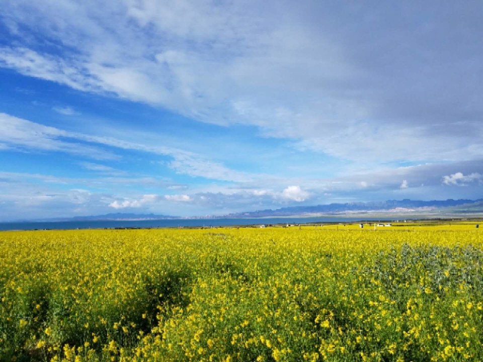 oh7xqQY8TvJMlq0l0EFha7okOA-DdtPA3WsnXjgZruS_-ZbC4WXLwnmg9KNoGR0P