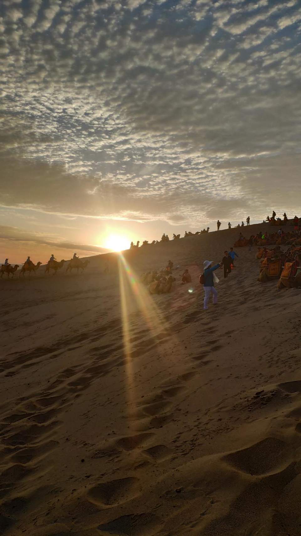 XSNDs_Jj7IqQ3HxMFsi3wAyTqOYlb6lnU5O8mlu5a0JAP38SR5smBpUeQSjKmjOC