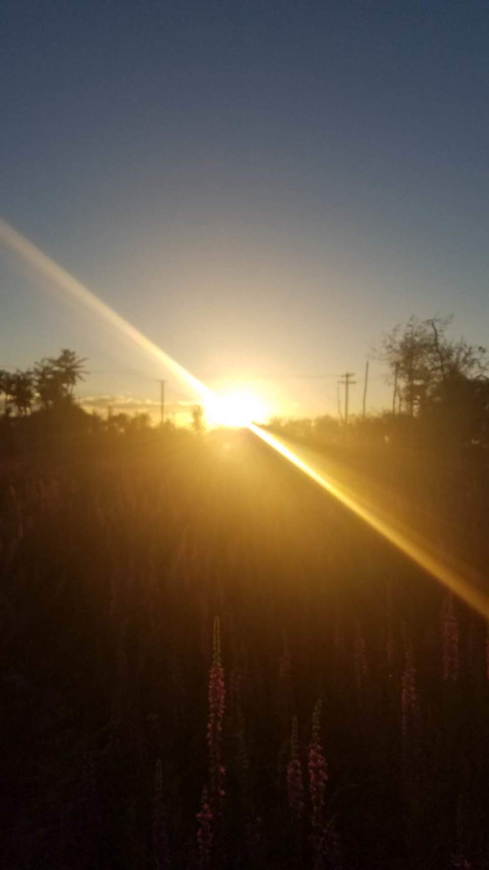 F_UtJ4Ivt5spF7IsQCkKjOonlBxL21m1tHNT2vdm9ZFs-HlrvsjBjNOj-4nWPCn0