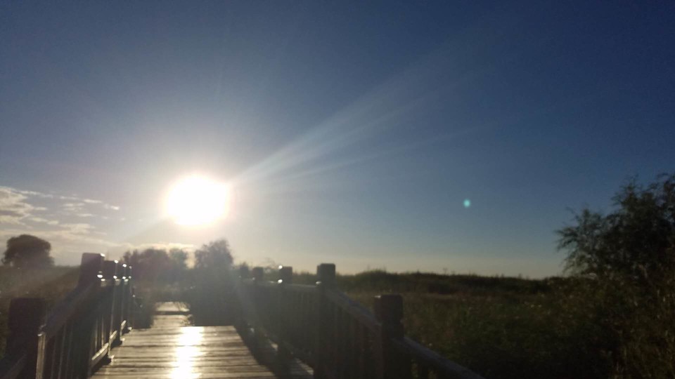 RAMPyuRNx_hWz6Vr6yexwcEFBgzk-pX3WA0v-rLnHnKd8wLp9wZzuC5tllA51VZF