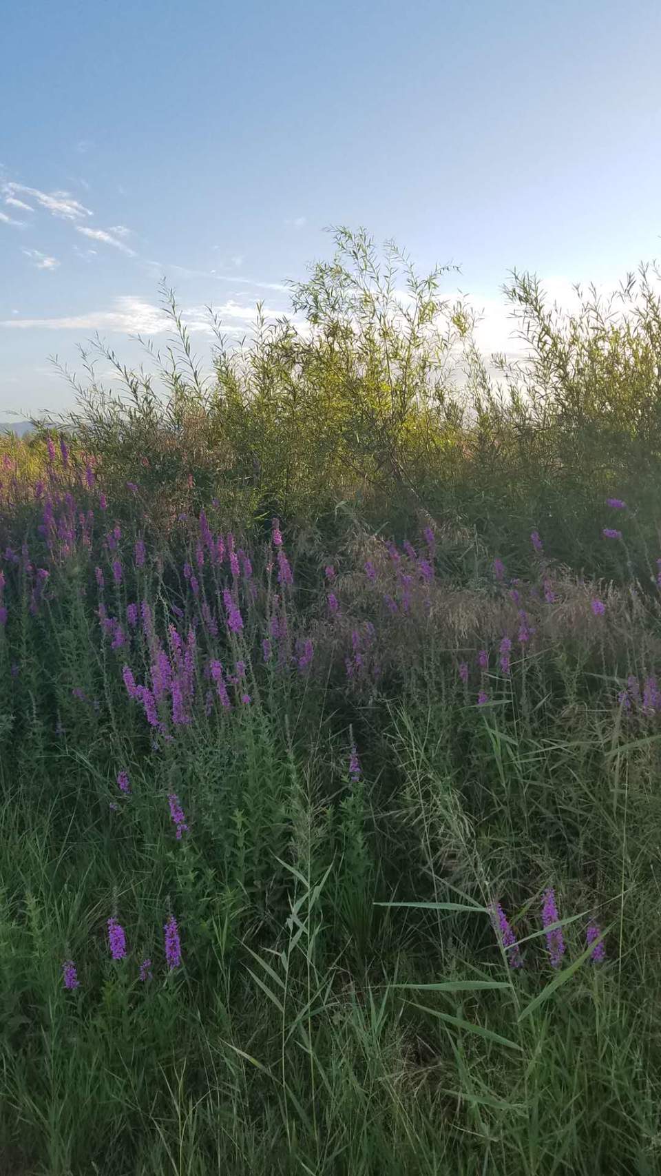 UcqOp9hvRv1Wa8sH1AUMc1MGxAaHtur5R8Dw9kufXG1CAjEK9pNclWw4XGVmfRMa