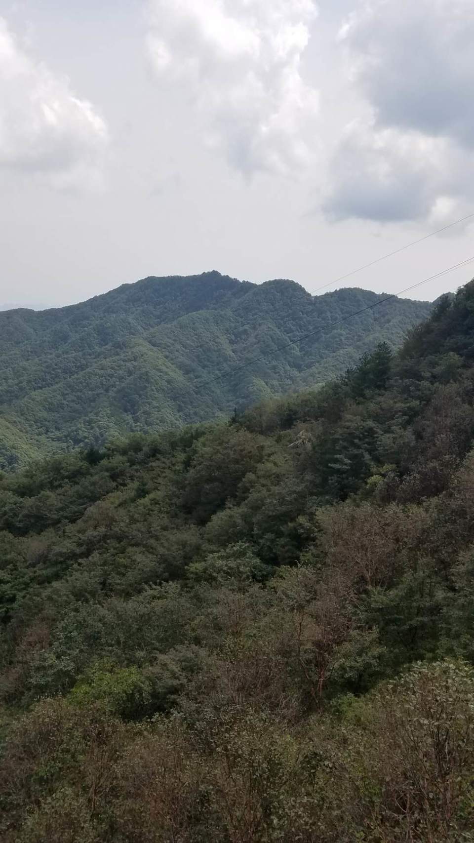 868j72ENFwCKvV_AWh1Xb4BOHPt1-Zp3jgKVisjpW7OGLD7ZgX_t-5Dq6EWJ7Ip1