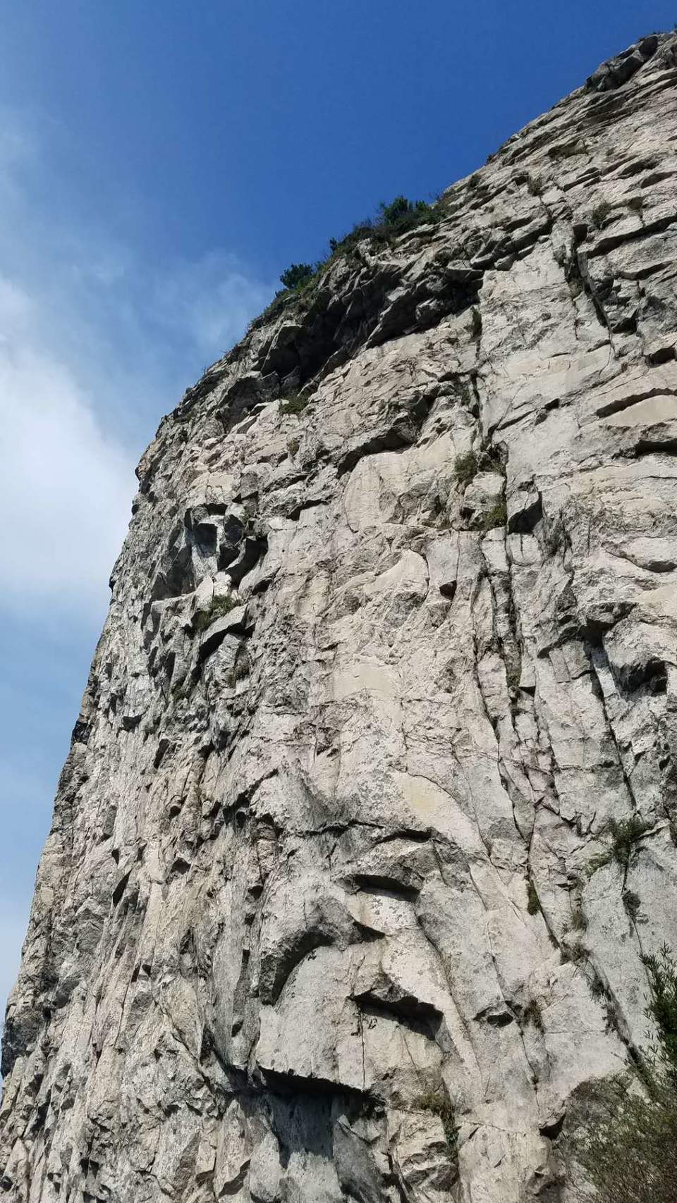 RXGYv8SWii-c8w6LibEvbNvMIzyC45Pnmd5iq0zm1Eoo9nihWJCuDNPPaEKeXwgg