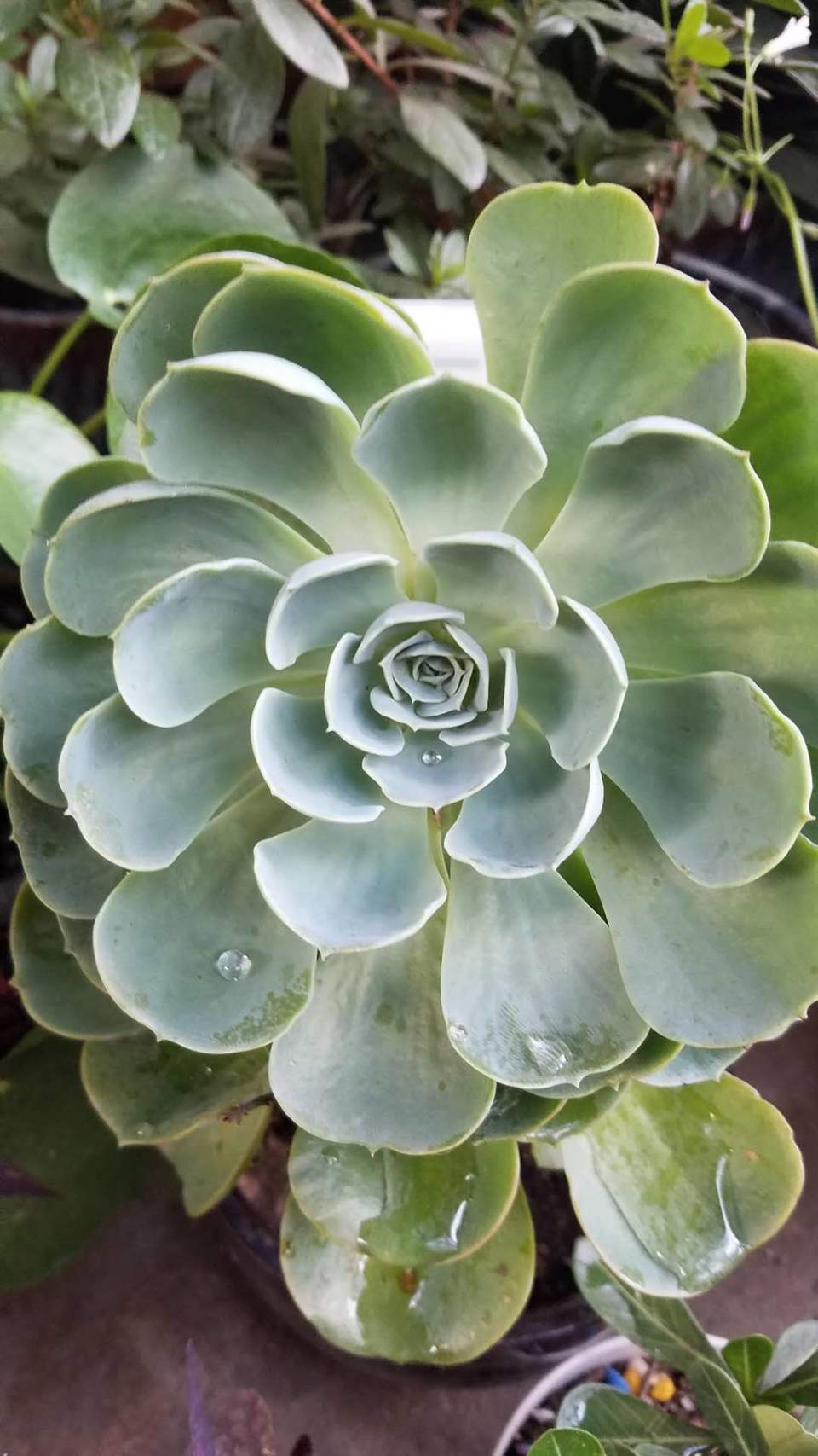 aSAKa_4zTaAY3tUq1x7Wn6EVw08-f4hsaAbspNxFxUZXTVr0avwvX6ex2hf119A3