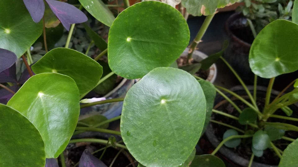 oBB87PYsGLozrbiqOBQhJf6rTQHNfniL8Ys4aml93YVIC61CSagi_5ClhBoDvRXe