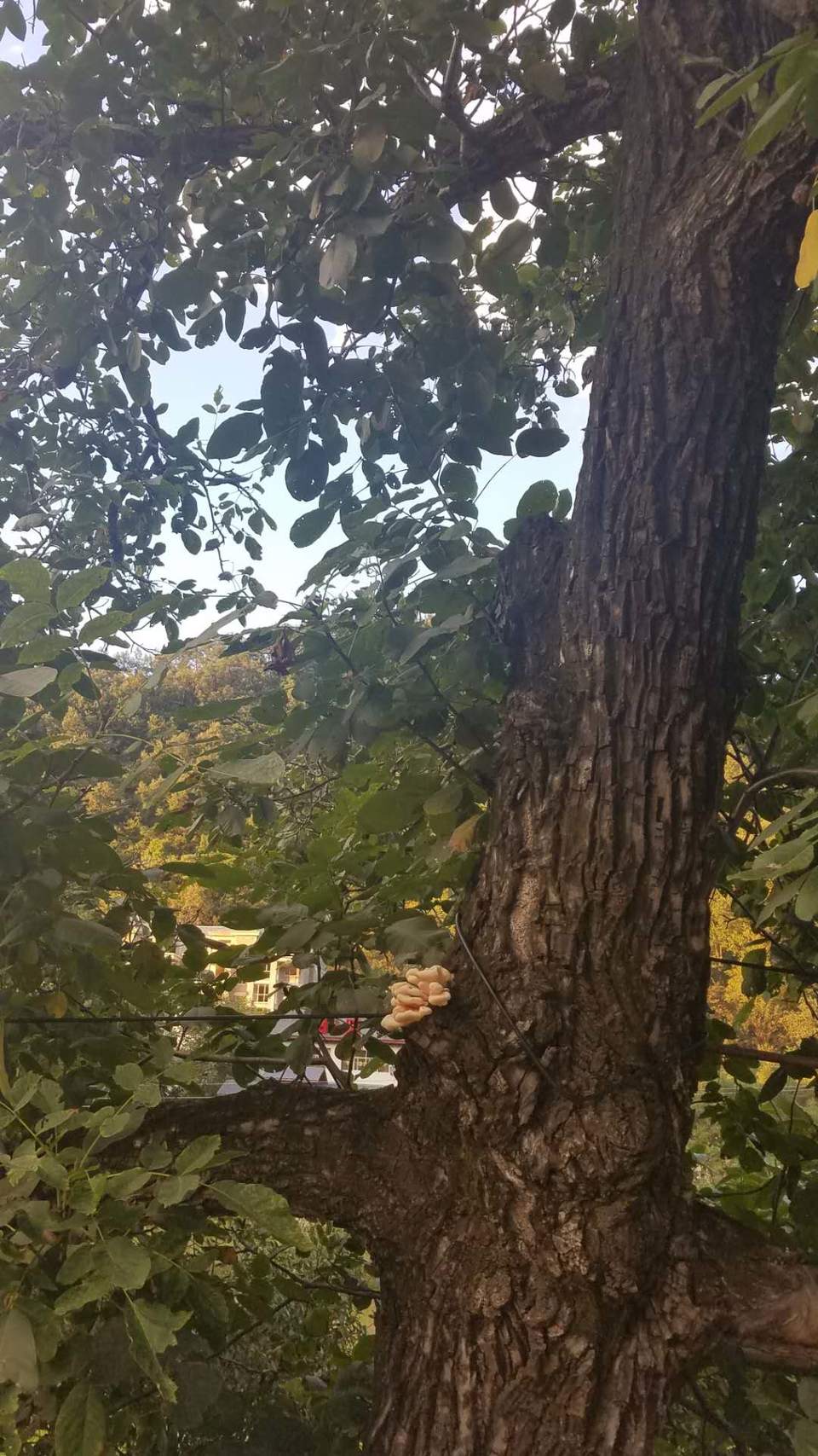 MaIqc0dwchmhKlunpwHWnaLV-ZNJv-fJ59y2mcZwl2xp4GlA4UmIXbIR-rl0JD1C