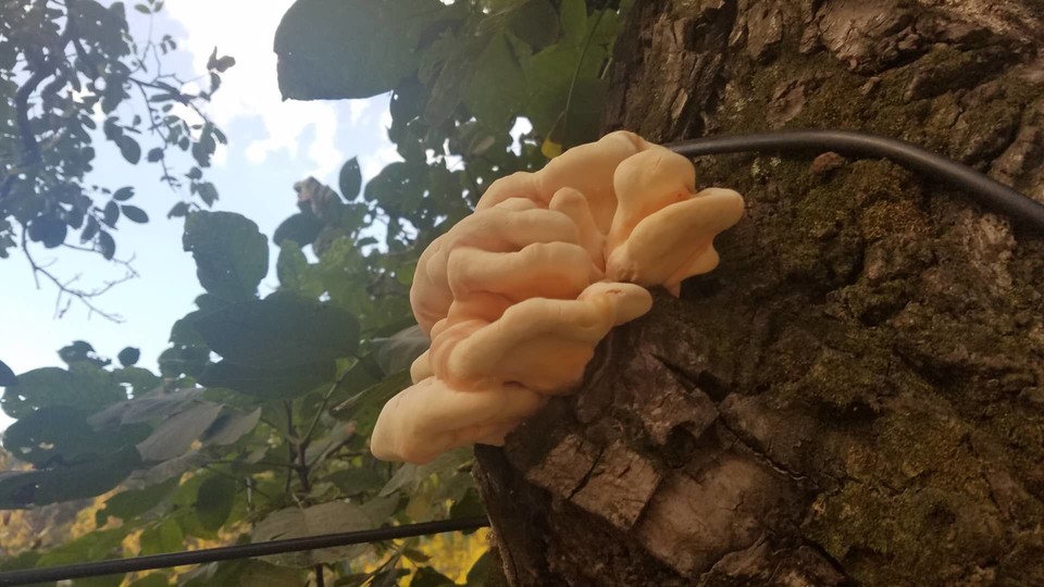 xhTE_2hMNWKpXusDUc2ncpeuZnr97y3S9JeuGH2PDDOk5t3enq5tnkXUAyYddeMJ