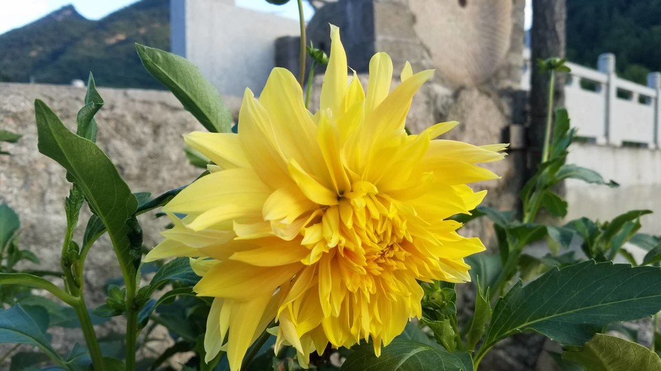 rU9uixheQUlybf7jMxKzPv6iO3gwAG_qKuIgnMYTnHrNNqLcWQ7DHpDg5RKuyLyd