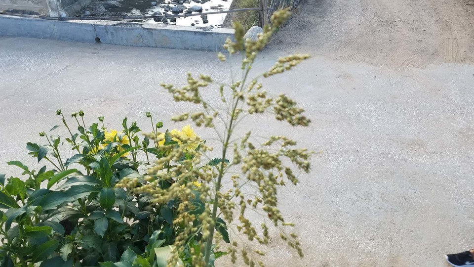 Rlo8qKAFcCEiq2UaaI5cz9PXpkvktPS_v5KB69jnhQ2iWzZiG_PNdVFONcmpR0NQ