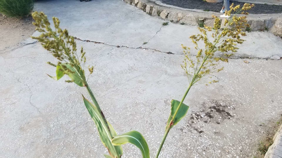 PxxEdrINgxeB0wXRdw45nsqQQaF1w87pDmZiOGYPXJVcxXWwUNO4Y1JWWlKdZHIH