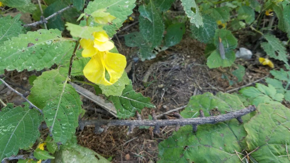 l5qPP2E0db2MxRABYIYU38Wfp8mLPkXvyStH4W08vCqU4HzClLD44q5PuOzYjY2D