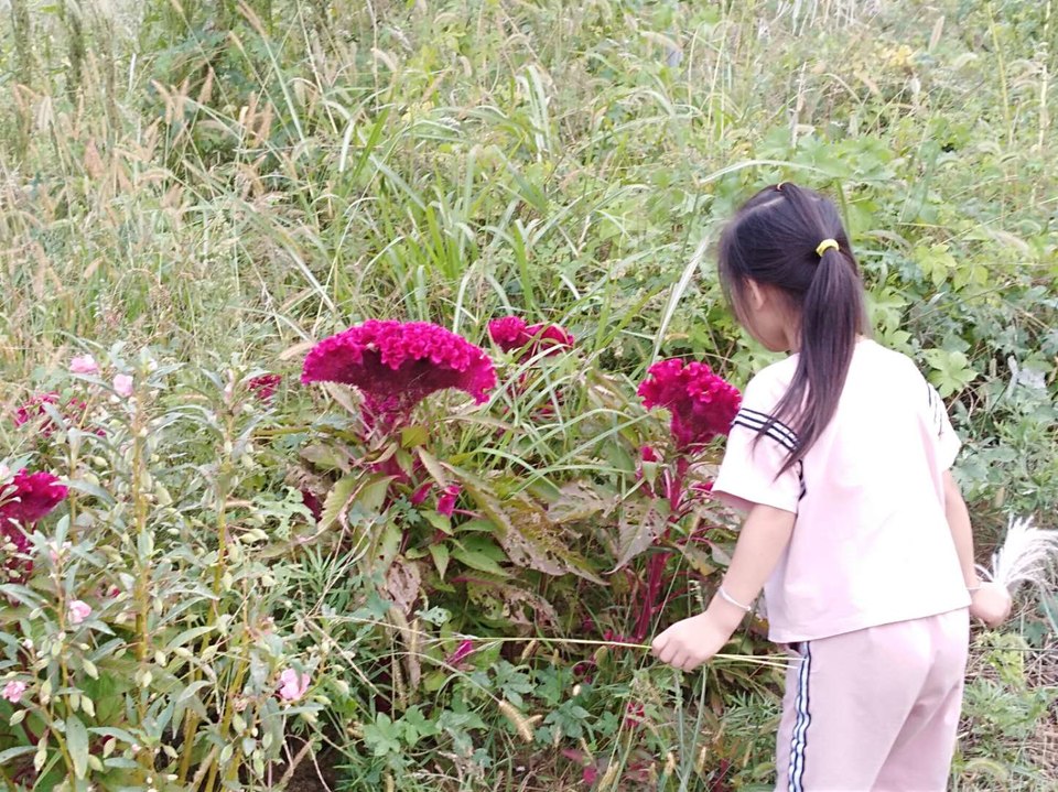 H0SvmZFHzCRRvcQDobPRiomXjz3oAGXKP4JG_VgFAiUdfDLGx-TRoBkv5GvtyLD4