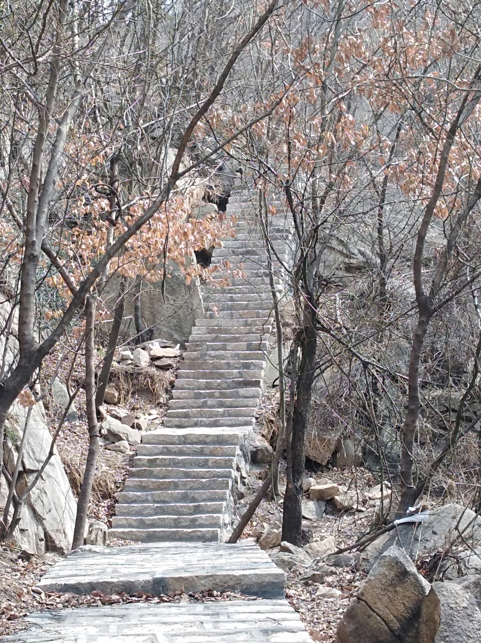 U8v0kVQE6_KlDQ76pLK3vgKrz72eYeAqL8Qncip3iLtGsTyBXK4JeRhSOZ2XHy4E