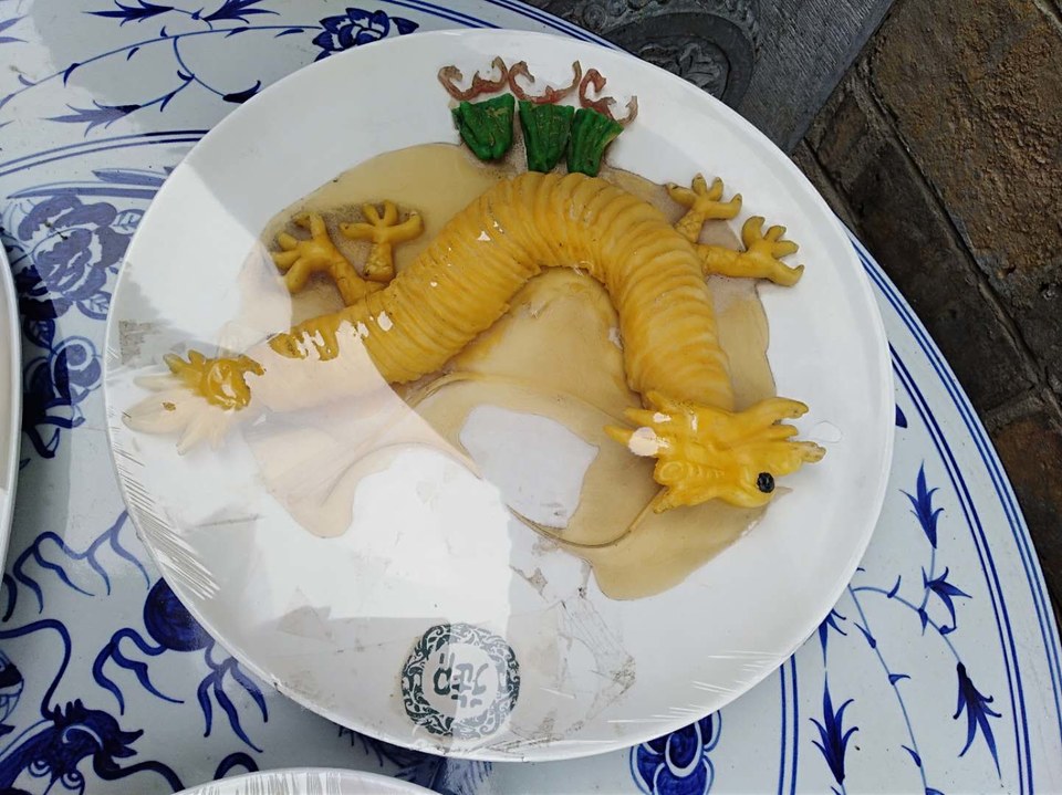 B34P1-R7fuaMXngBp2GJ0ANiT9EHfoJfZZsCUJpEBVB9_tG1scrTOHmJVhj9rNbz