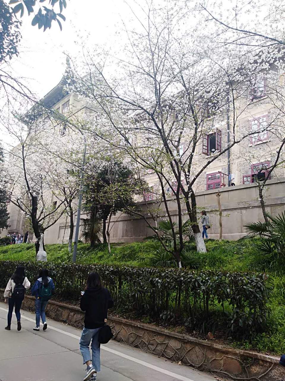 -exoLlgw6q-lOnOMv8x4PtQ5gqQxdnf51kVF2rjcCmb6QQqGo6RKiEuk_RLf62Wz