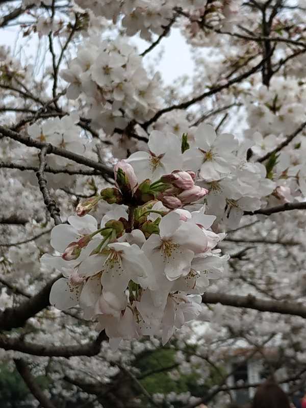 ynBSctD5X2dzDKHA9yytwpbAkCv2csPTMcmux0AFymY4PNwFQEdHj3xjk3GO_7CZ