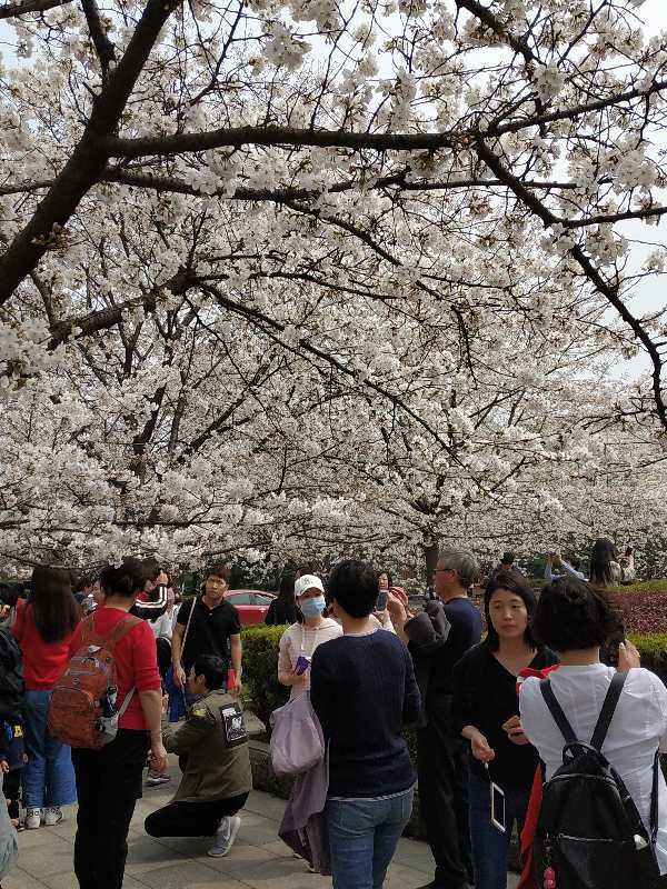 ieX3g-NOz89QfZ2PaVsi1oAdKSlwDwkV_DmjgcoAdZJmnCyw_mVJxDqPYiAX3Drs