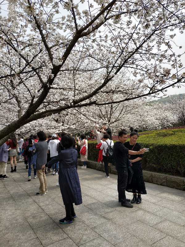 RxQ_O_Aff2Z59Iym6e4aDeNSVX0ig1UaLxsGruQl9Rh9MSiGdXF9PZYw5renFW-V