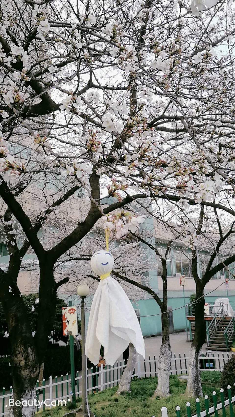 Q9YhUN41ftnNqA_KgKn-JE9c01SZQ2m41OURTYHuKAmgXOwYViSoZWt9omQnrJb8