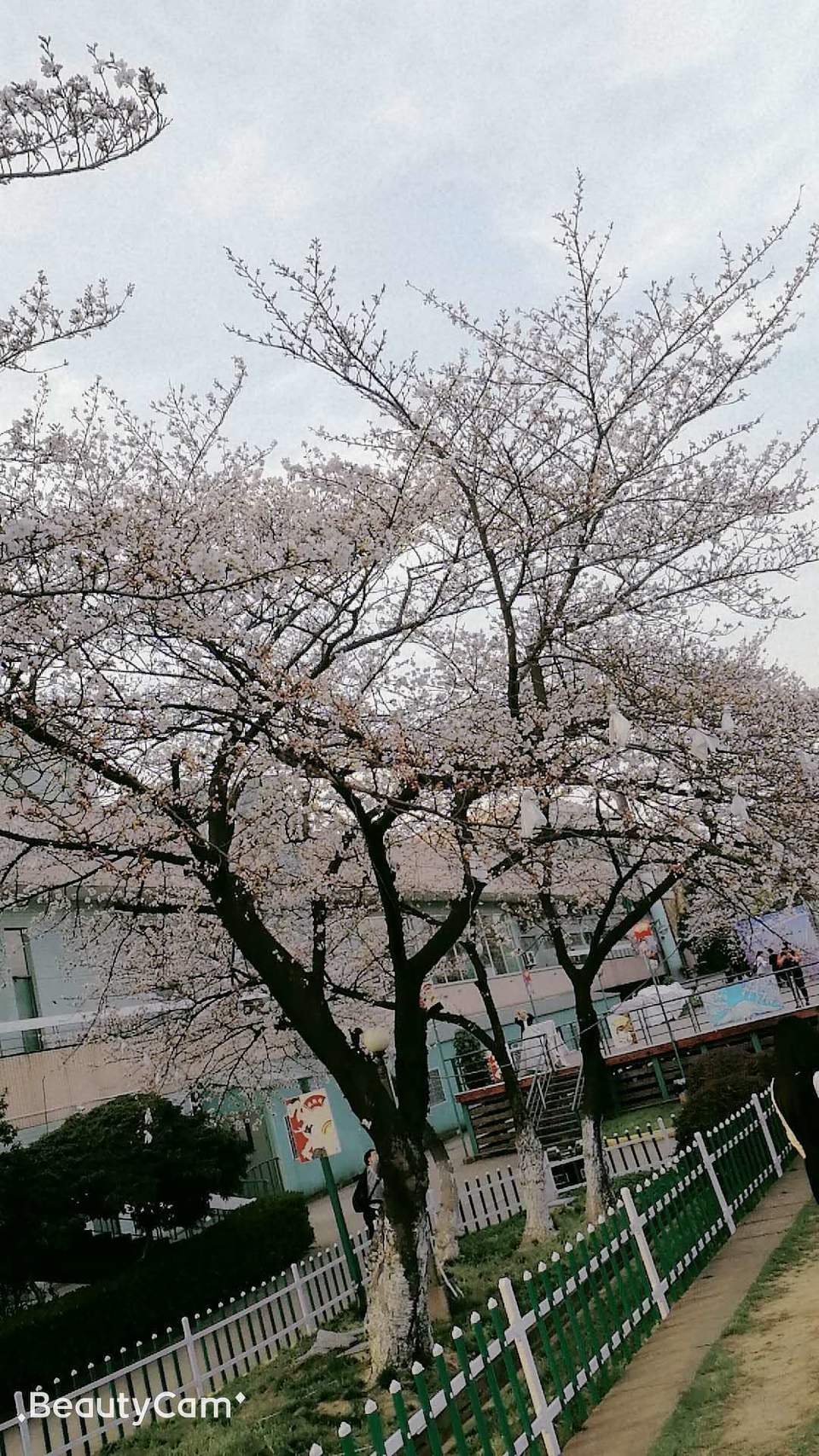 RivECjkuQaPDpFVD51noG7k5vaNTKpBni4W86l6HcnNJ8pbJihE_tGysur9EvsVc