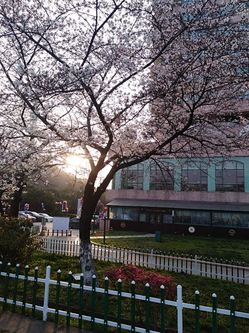 85YE-J87NAifWX-T_j25ilN6zID9QrZZn0wDkqcabOA6R-uYaHjykygImEB5ul6X