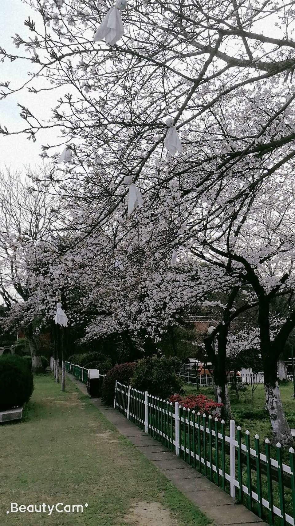 3tNhnn6bzS8I6h-ncM7BJIJkNSWxzsTMWeHpk4AuMr63rm1w4mtDop3dSF5QyWx-