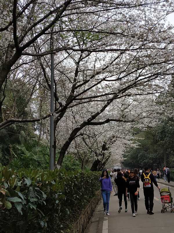 2Y0cKoIVmfctQ7cBw97G3o4I9j3m3AMbuISbjbi_g6lQWNU2SaAOQCqb1cH9R6-j