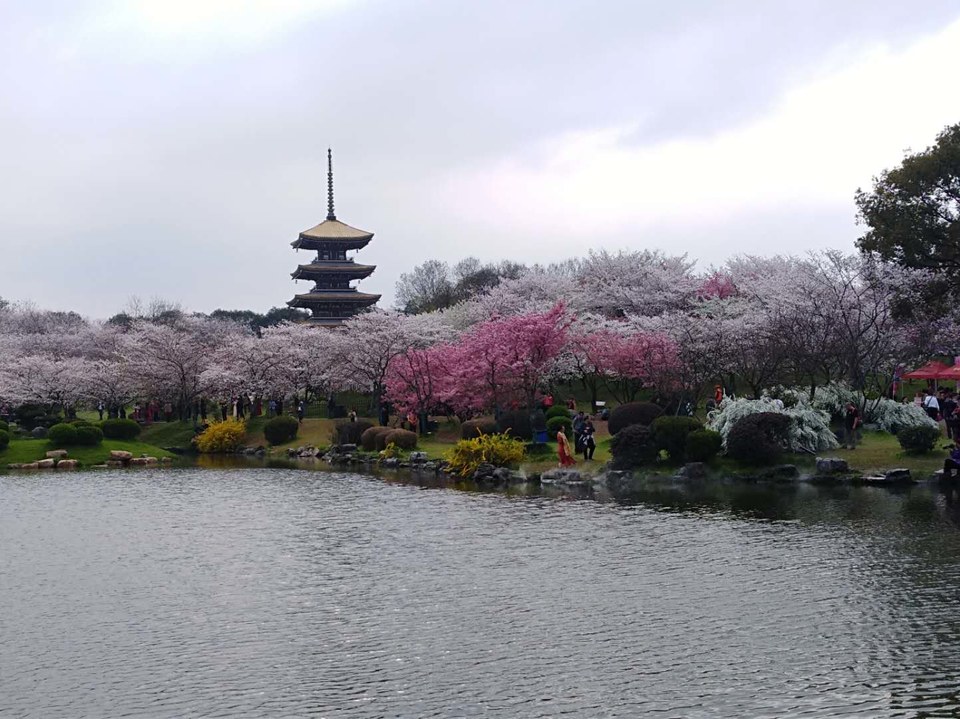 gqsO0oIzL8y7AWsGhLUIp2KpkmmHCUhc1XX2ZIxZsF5wsKvvBjoCEi6pYHtmwODf