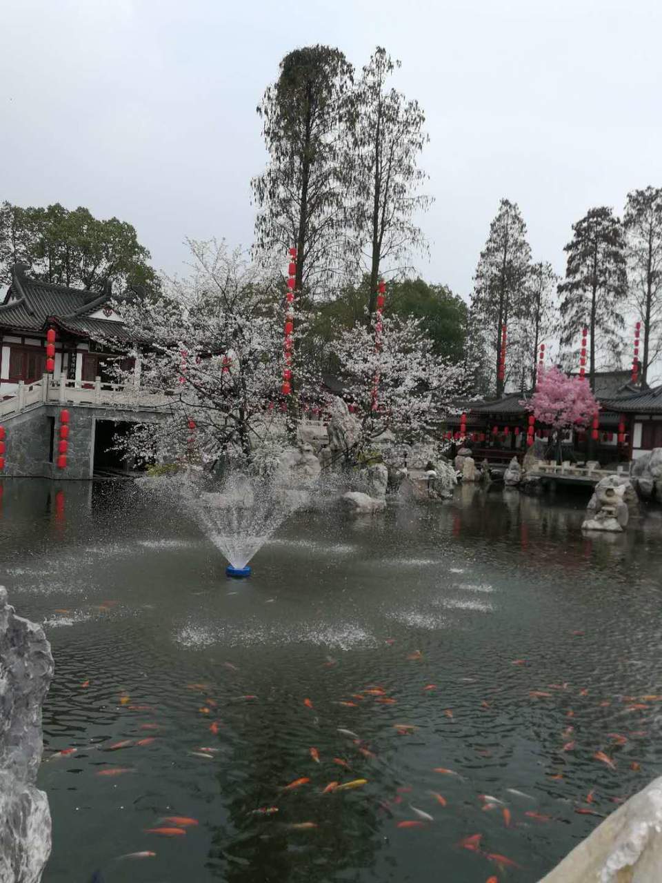 2c8ztpk-l48VYWXOILQmTi5nyJxAj6PsWLN-vCo4Av2TunZqQxmReSX81dK_6Mxi