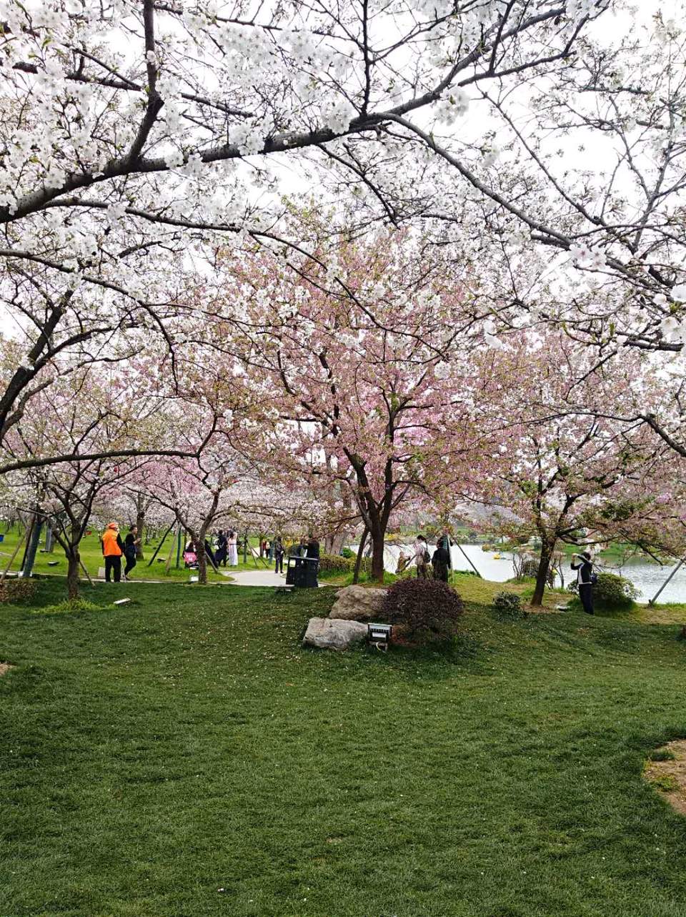 mifwSvhrOyrw3ryoxiH5PVEMu-fES76tCp9dl8h7UpBlHuh568Uc4SxM47PUYNNZ