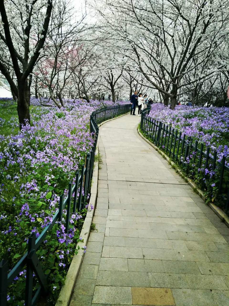 GDFW0JGSgGZI_L1gBZx97Snke205ApEw_jOEMm4q77opMnFsj9I2S05yR18BCNEH